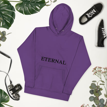 Unisex ETERNAL IRON SHARPENS IRON PREMIUM HOODIE